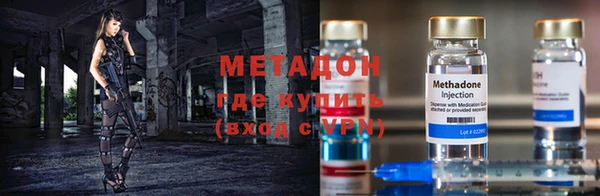 индика Алзамай