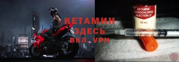 индика Алзамай