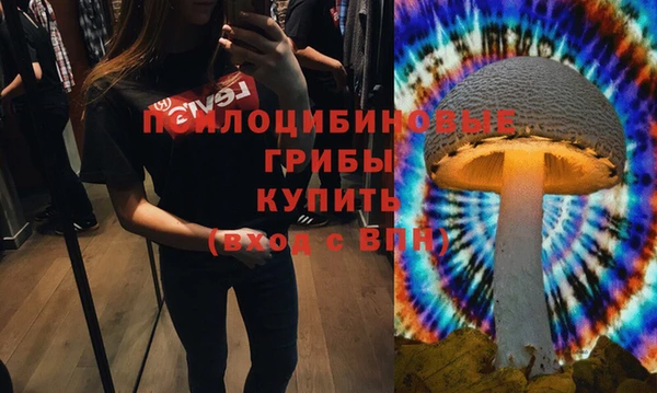 индика Алзамай
