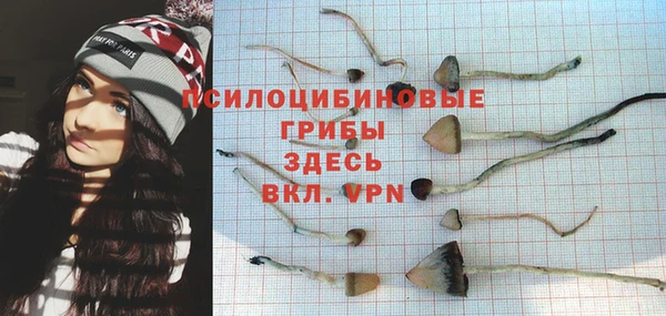 индика Алзамай
